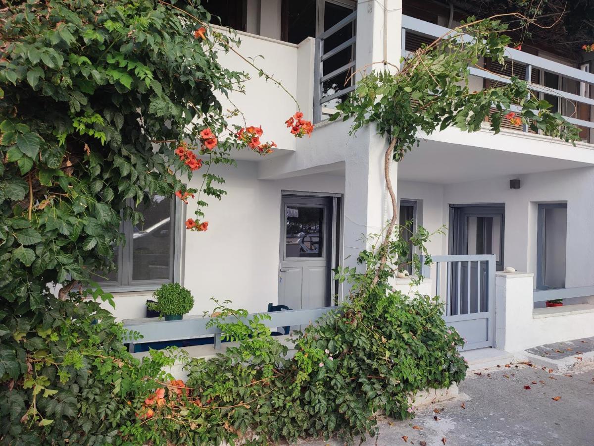 Charming Cozy Suites Naxos City Buitenkant foto